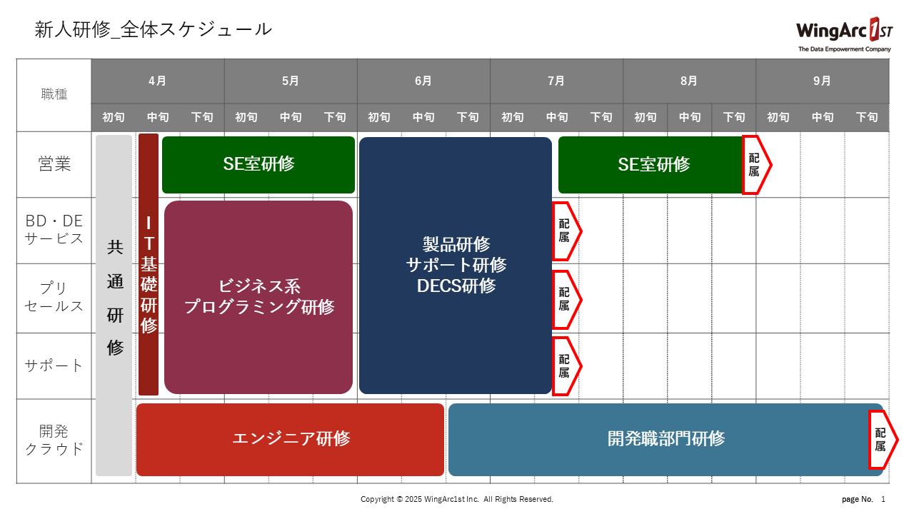 新人研修の全体像　※2025年度の例です